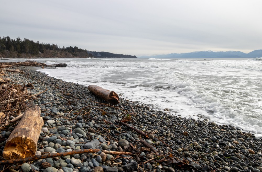 Featured image for “Introducing the Lower Mainland Collective”