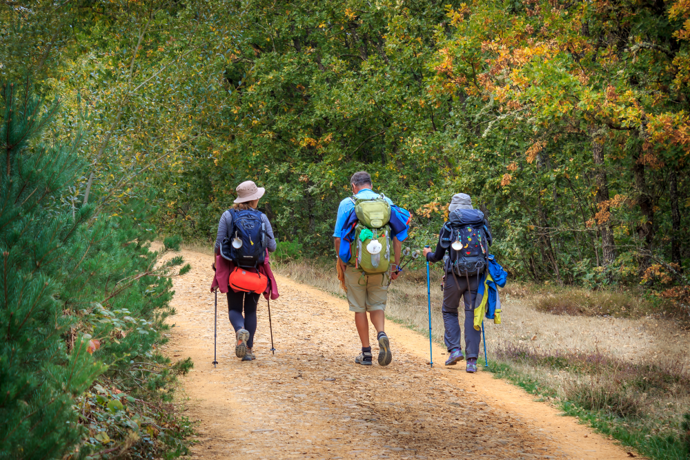 Featured image for “Three ways to journey with Stronger Philanthropy”